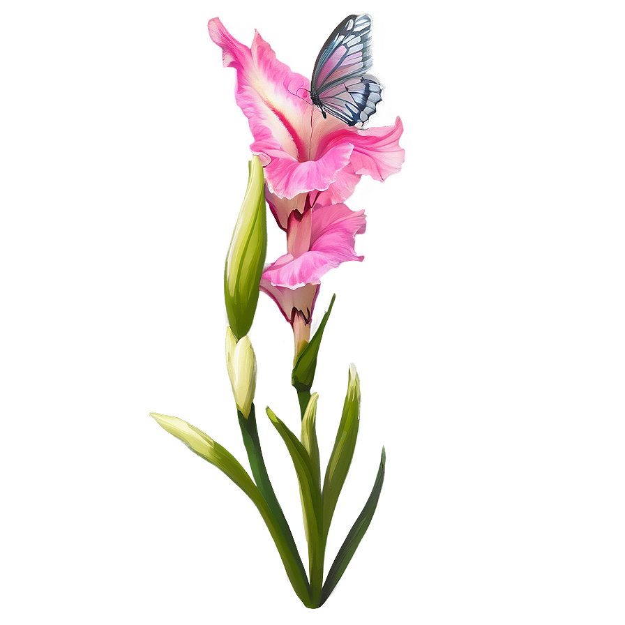 Gladiolus And Butterfly Png Gwj