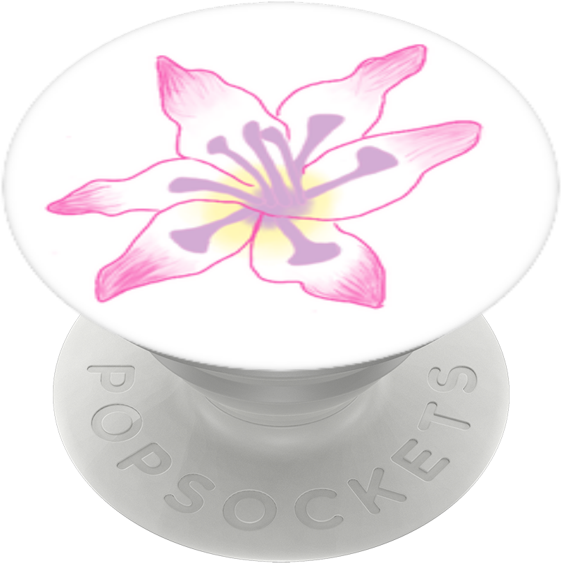 Gladiolus Flower, Popsockets - Lily, HD Png Download PNG with transparent background