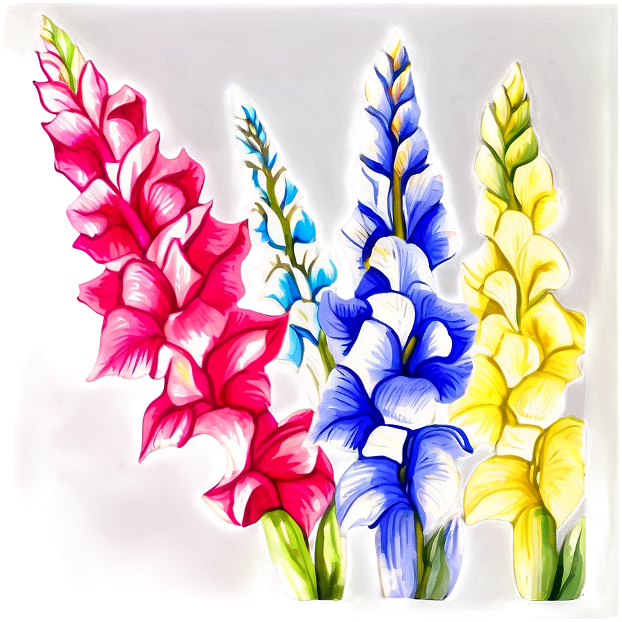 Gladiolus Watercolor Art Png Hcn2