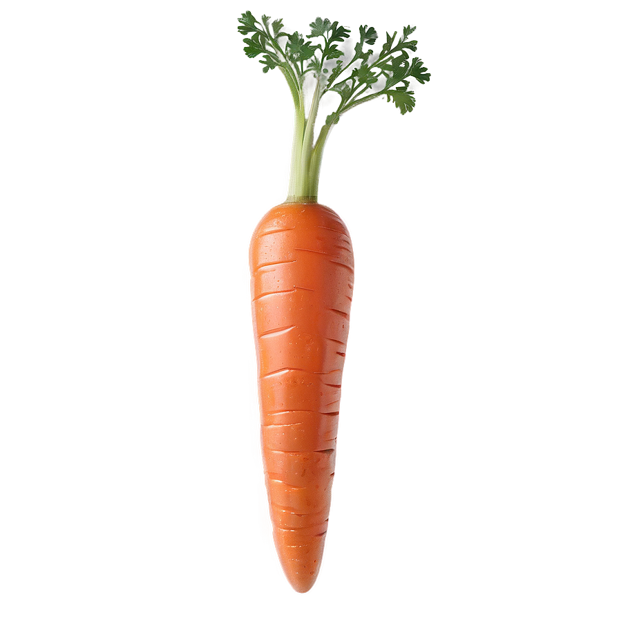 Glazed Carrot Png Qtd