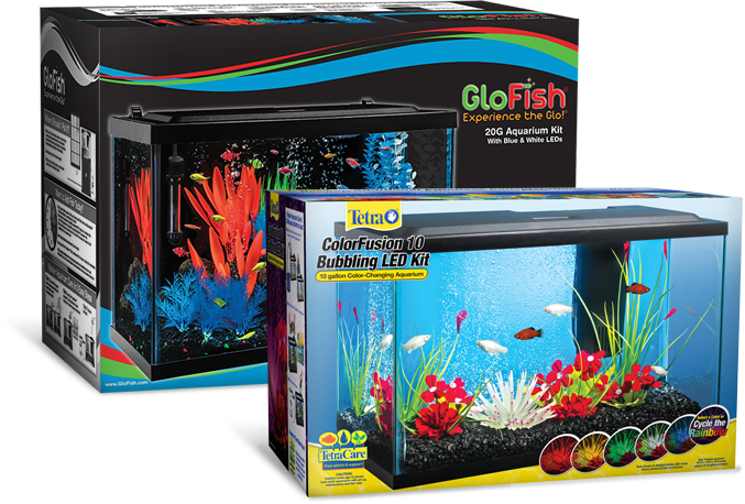 Aquarium, HD Png Download PNG with transparent background