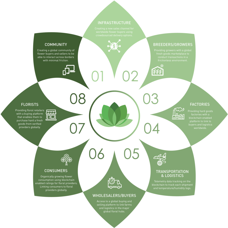 Global Flower Market Ecosystem Infographic