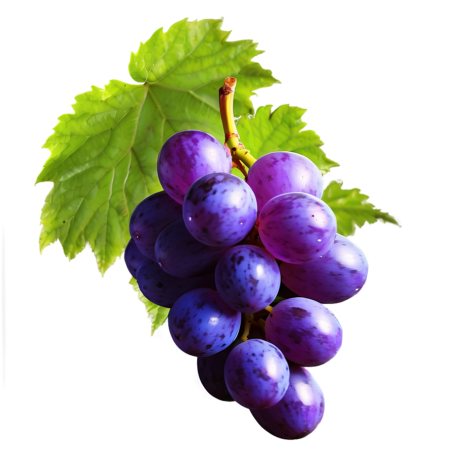 Glossy Grape Image Png 90