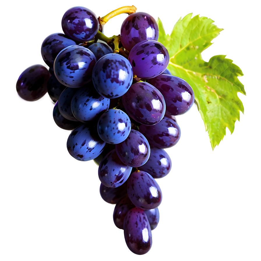 Glossy Grape Image Png Ffp20