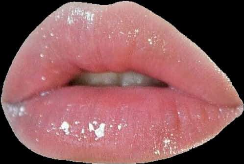 Glossy_ Pink_ Lips_ Closeup.jpg