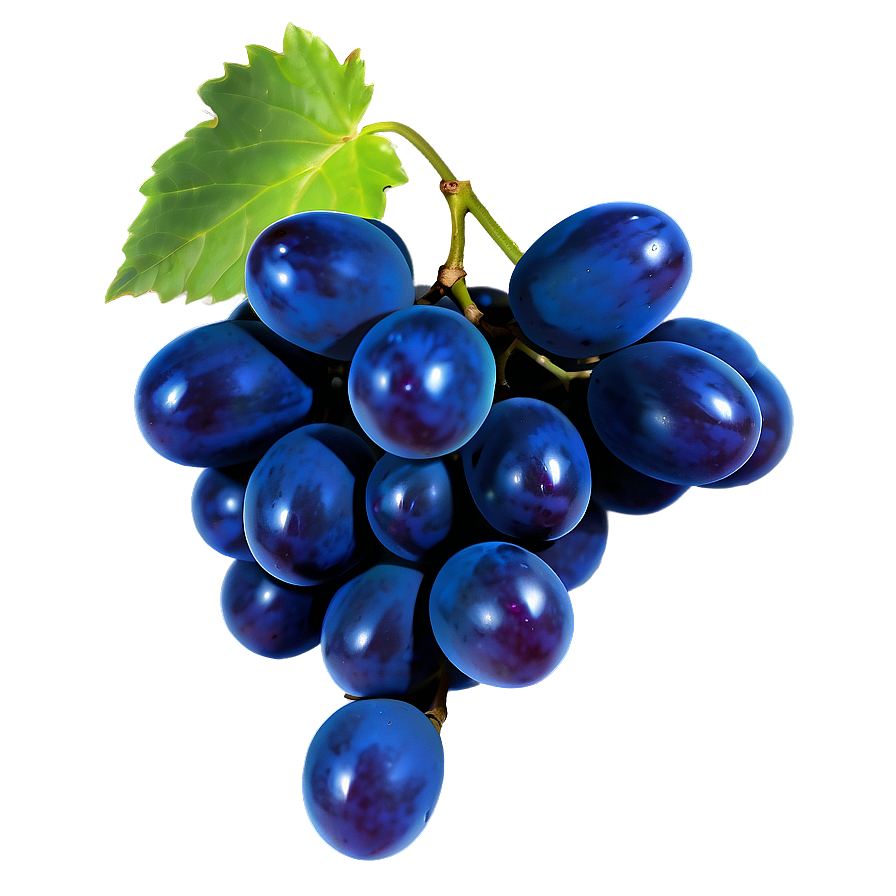 Glossy Shine Grape Png 06292024