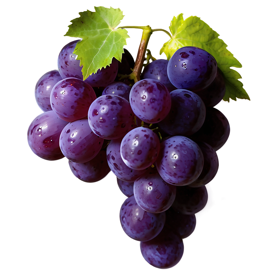 Glossy Shine Grape Png Civ