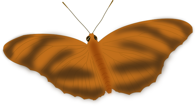 Glowing Butterfly Silhouette