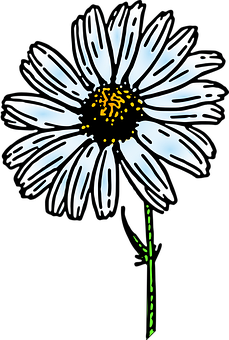 Glowing Daisy Artwork PNG with transparent background