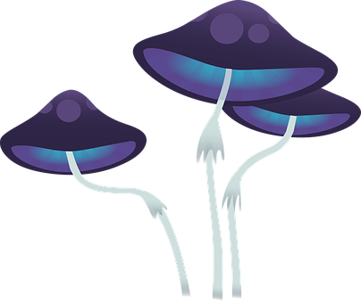 Glowing Fantasy Mushrooms