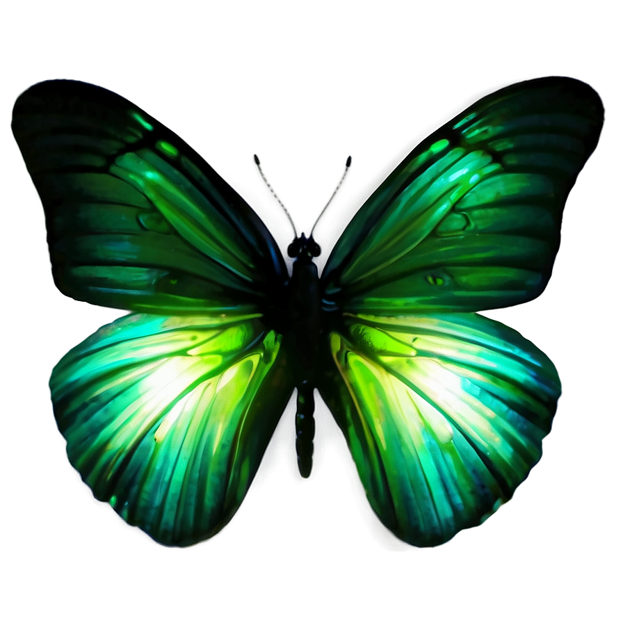 Glowing Green Butterfly Picture Png Dku79