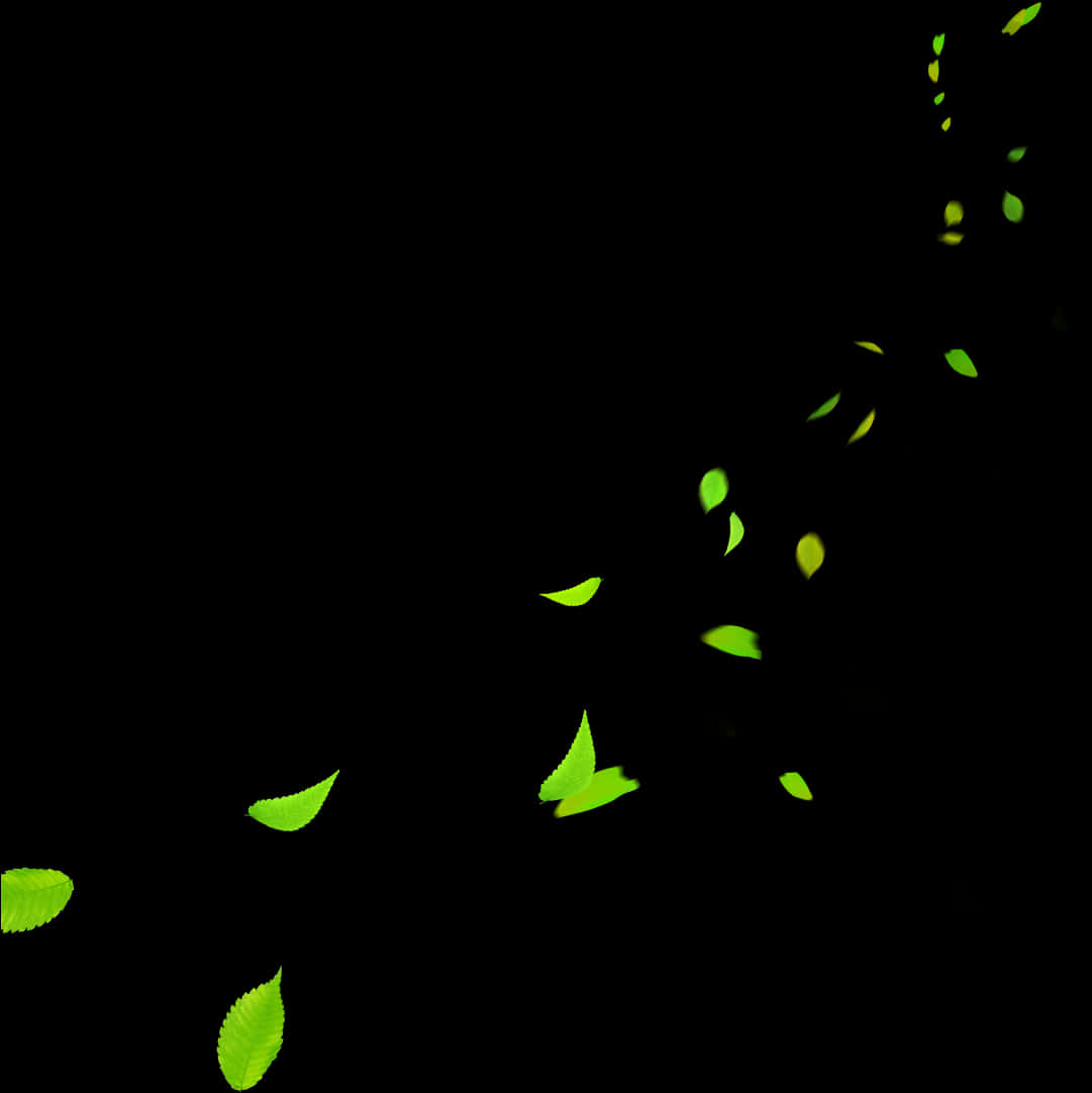 Glowing Leavesin Darkness PNG with transparent background