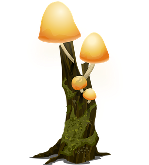 Glowing Mushroomson Tree Trunk PNG with transparent background