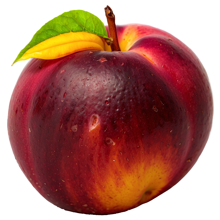 Glowing Nectarine Png 06252024