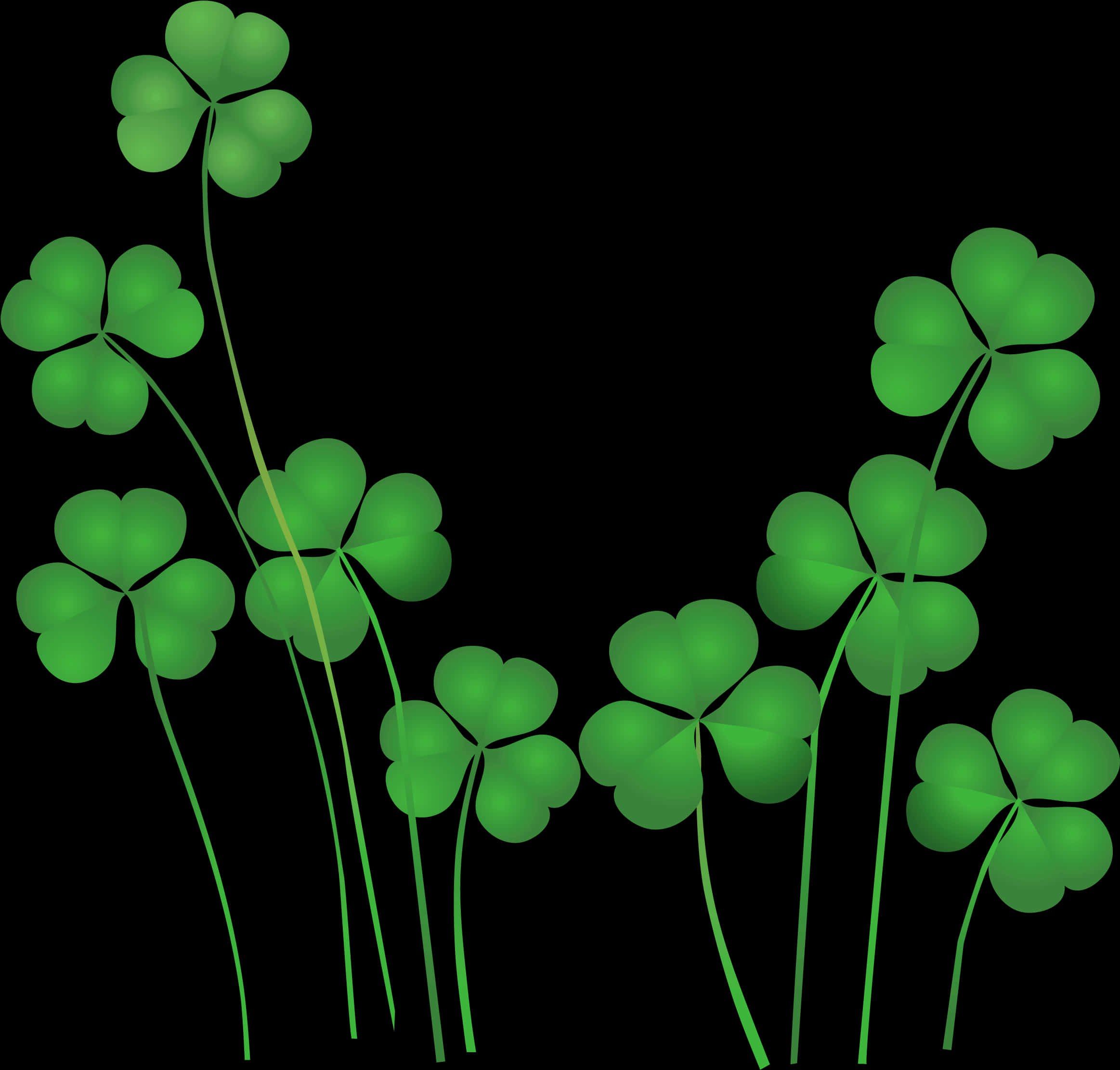 Glowing Shamrocks Black Background