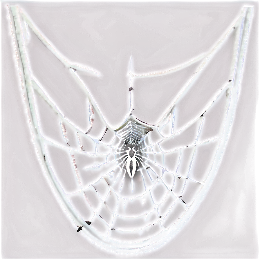 Glowing Spider Web Artwork