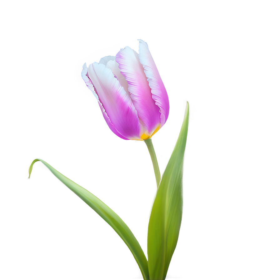 Glowing Tulip Png 05212024