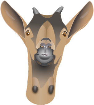 Goat Head Vector Illustration PNG with transparent background