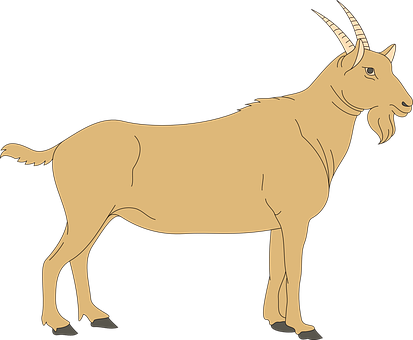 Goat Vector Illustration PNG with transparent background