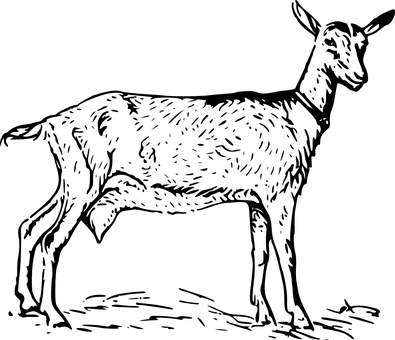 Goatin Darkness.jpg PNG with transparent background