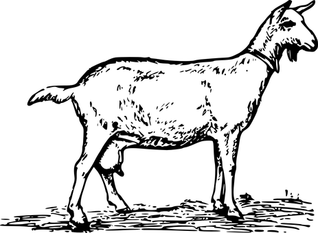 Goatin Darkness.jpg PNG with transparent background
