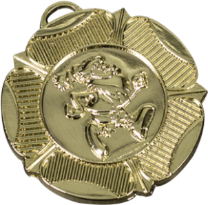 Gold Award Medal Design