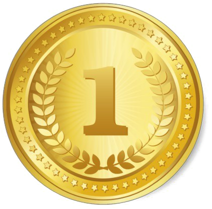 Gold Number One Winner Medal.png PNG with transparent background