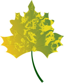 Golden Autumn Maple Leaf PNG with transparent background