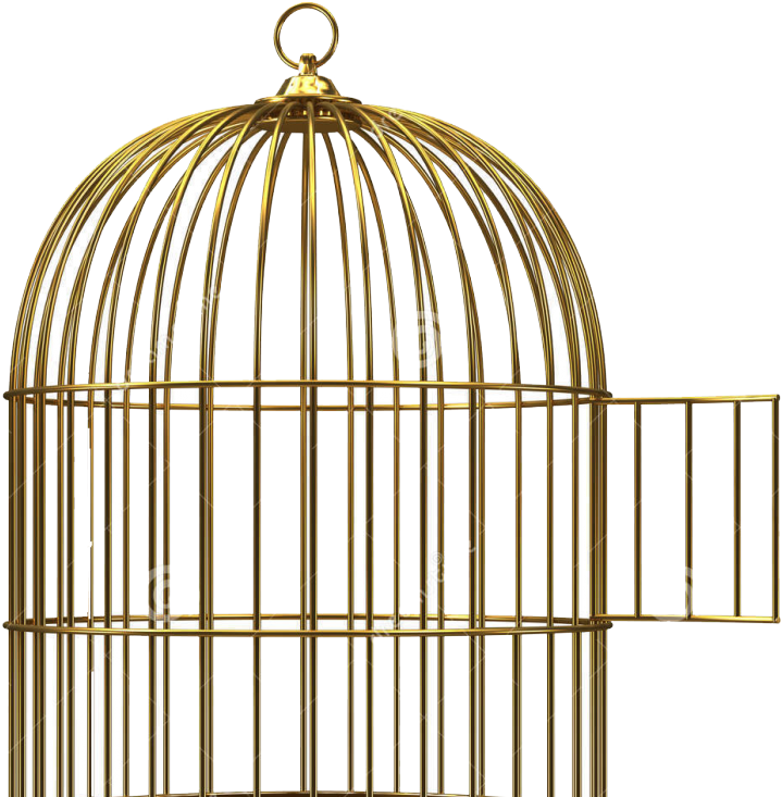 Birdcage Clip Art - Bird Cage Open Door, HD Png Download PNG with transparent background