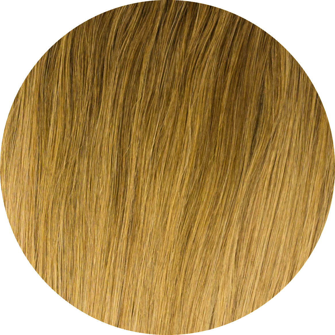 Golden Blonde Hair Texture