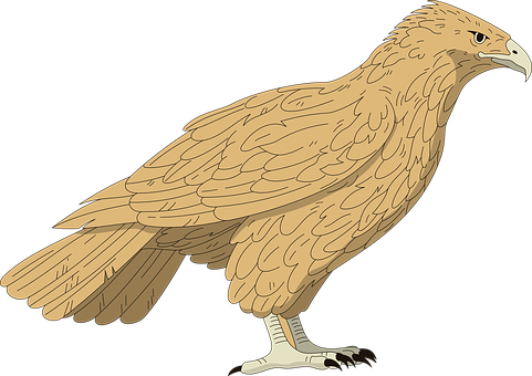 Golden Brown Falcon Illustration PNG with transparent background