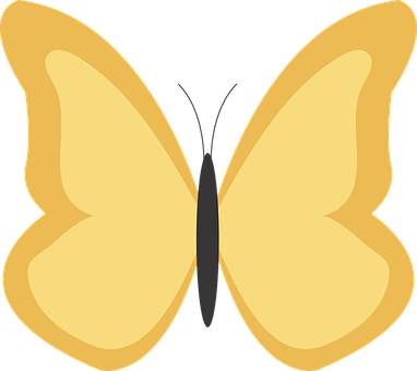 Golden Butterfly Vector Illustration