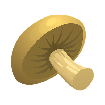 Golden Cap Mushroom Vector Illustration