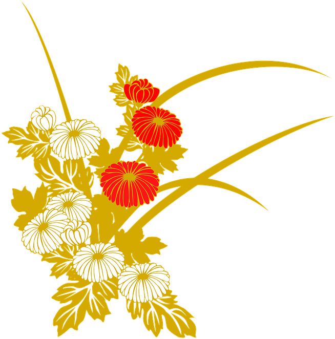 Golden_ Chrysanthemum_ Illustration