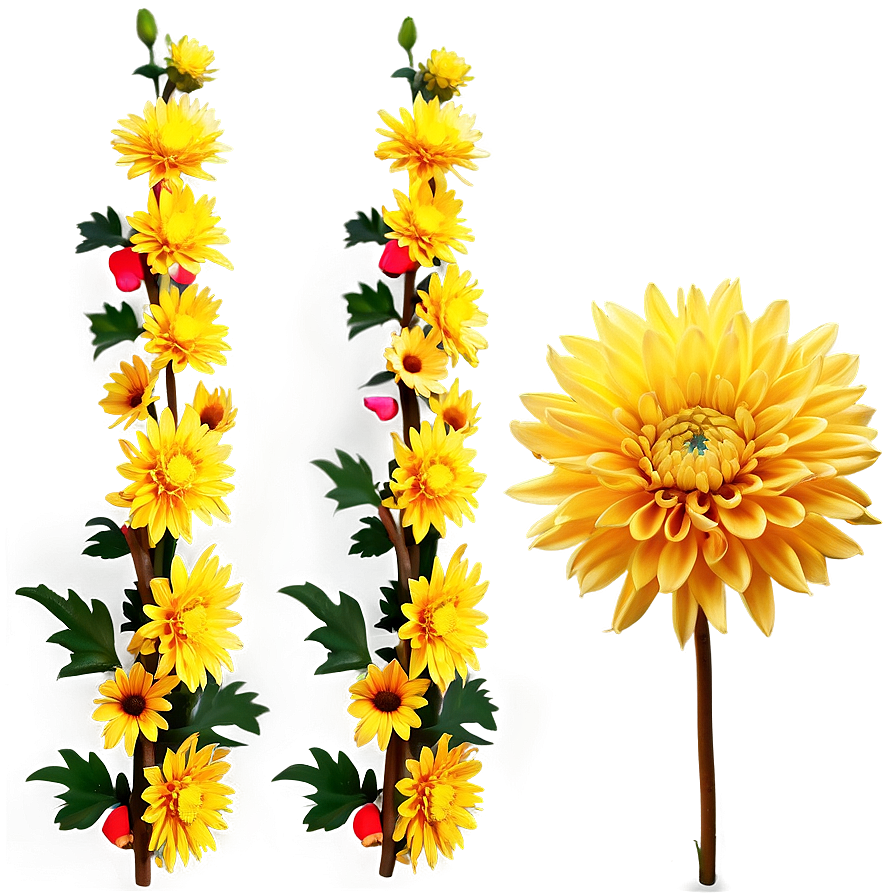 Golden Chrysanthemum Sunset Png Dwb68