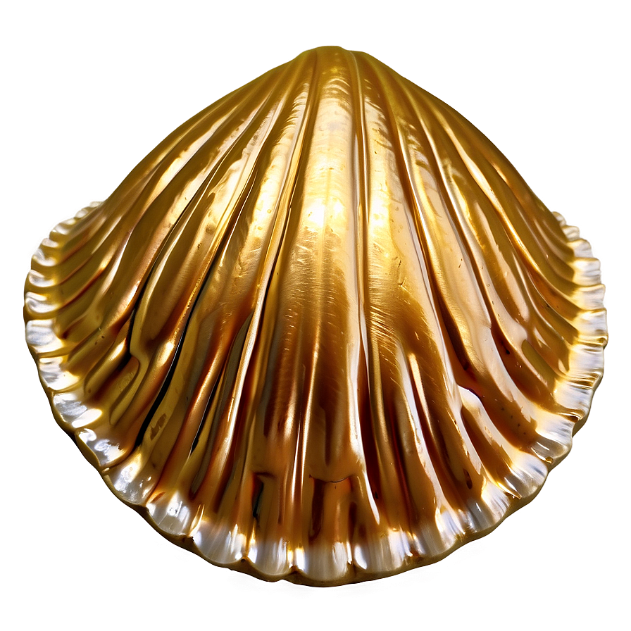 Golden Clam Shell Png Gur