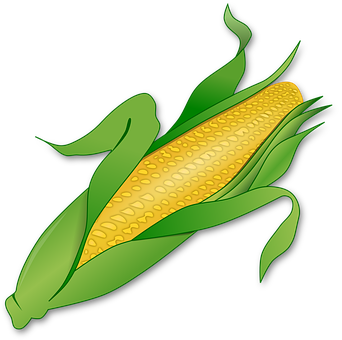 Golden Corn Ear Illustration PNG with transparent background