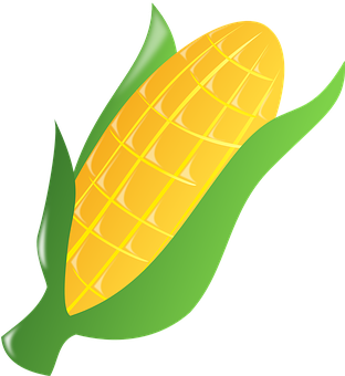 Golden Corn Ear Vector Illustration PNG with transparent background