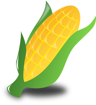 Golden Corn Illustration PNG with transparent background