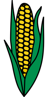 Golden Corn Illustration PNG with transparent background