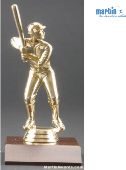 Golden Cricket Batsman Trophy