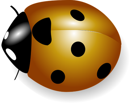 Golden Dice Black Background PNG with transparent background