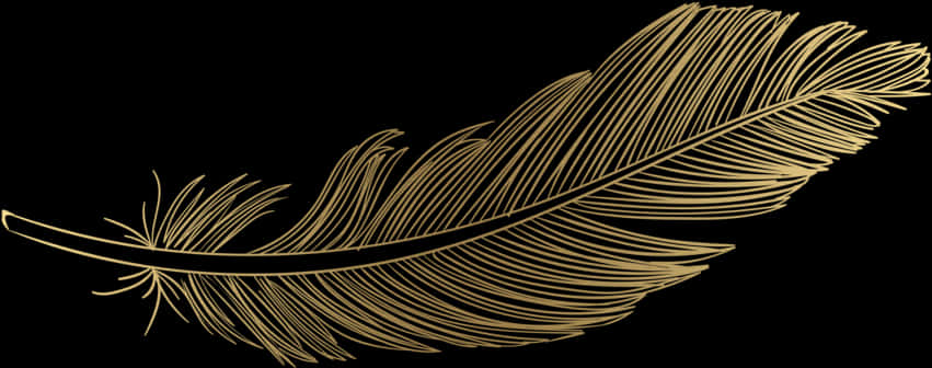 Feather Png Download Image - Gold Transparent Feather Png, Png Download PNG with transparent background