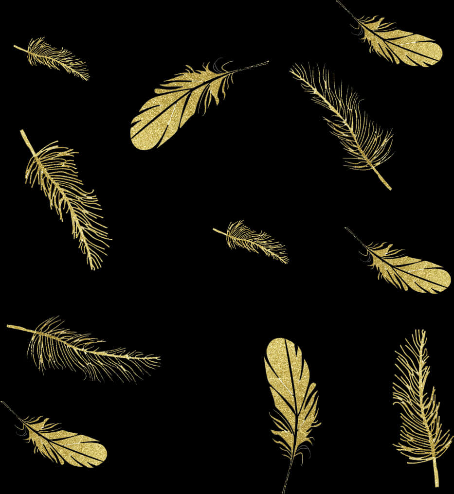 Golden Feathers Black Background