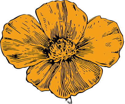 Golden Floral Illustration PNG with transparent background