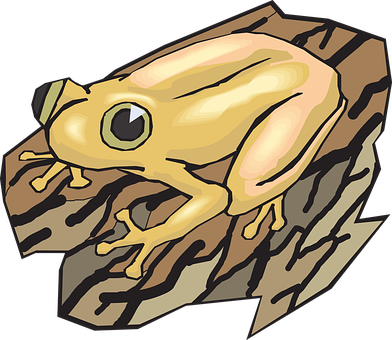 Golden Frog Illustration PNG with transparent background
