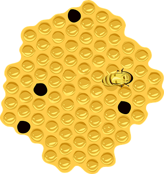 Golden Honeycombwith Bee PNG with transparent background