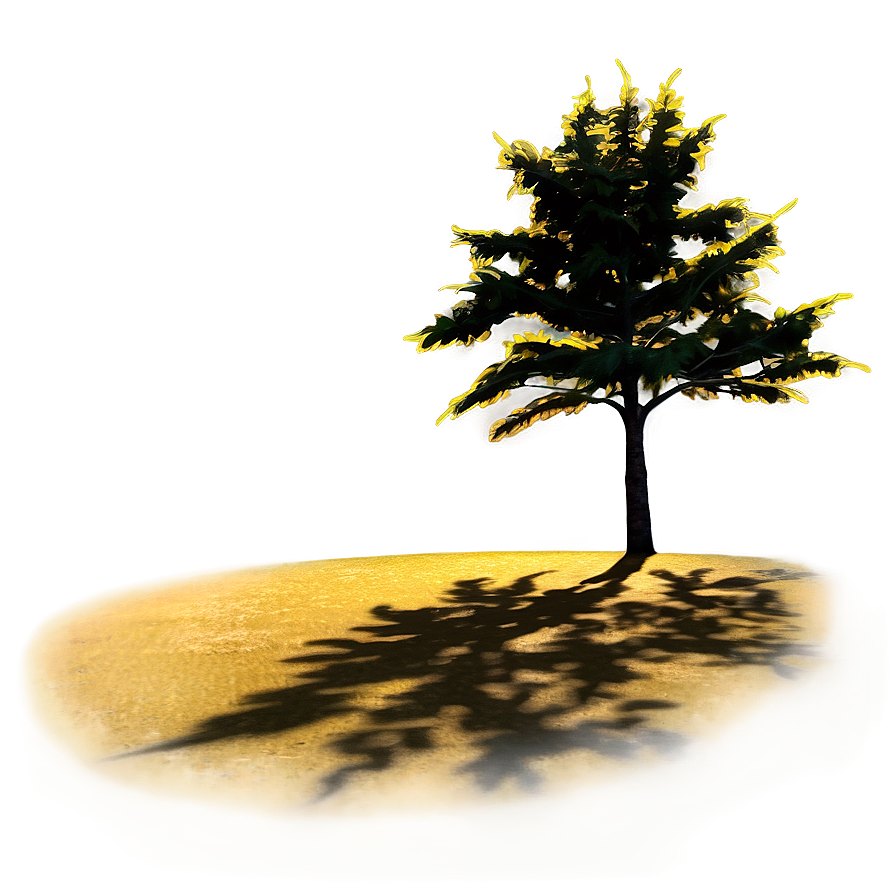 Golden Hour Tree Shadow Png 57