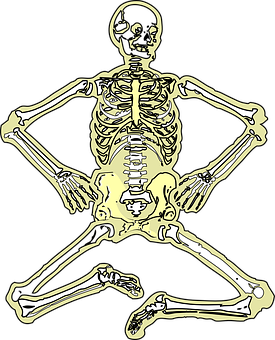 Golden Human Skeleton Illustration PNG with transparent background