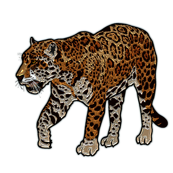 Golden Jaguar Illustration